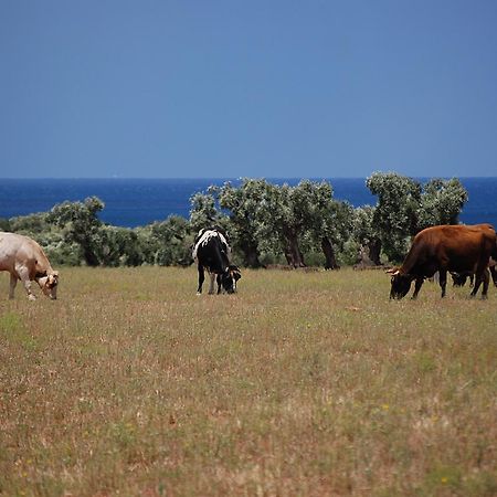 Masseria Palombara Grande Остуни Экстерьер фото