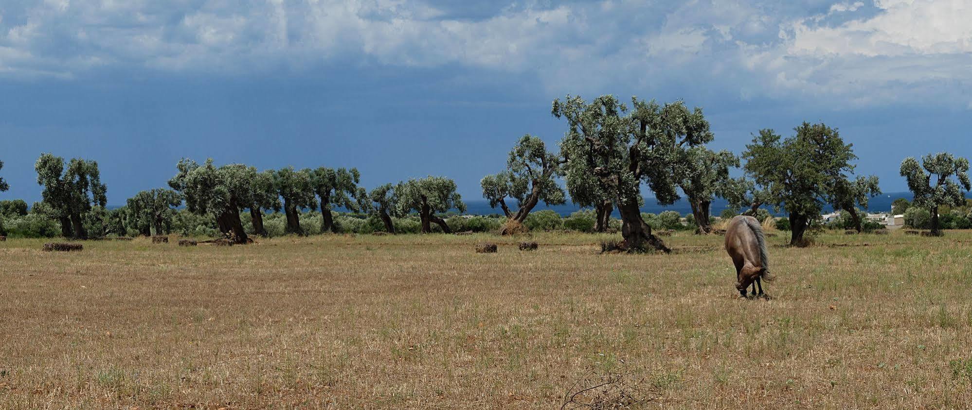 Masseria Palombara Grande Остуни Экстерьер фото